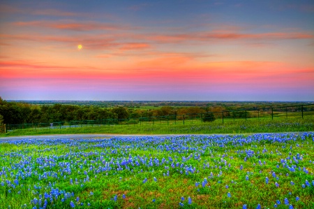 **Blue*Moonset**