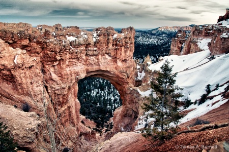 Bryce In Spring