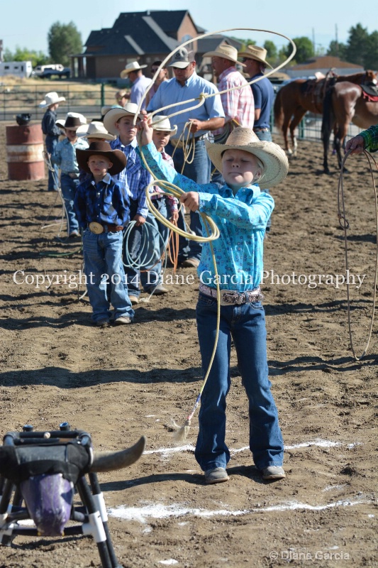 1st   under roping ujra 2014  48  - ID: 14573817 © Diane Garcia