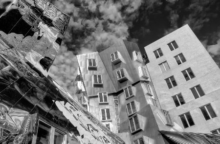 Stata Center in Black and White