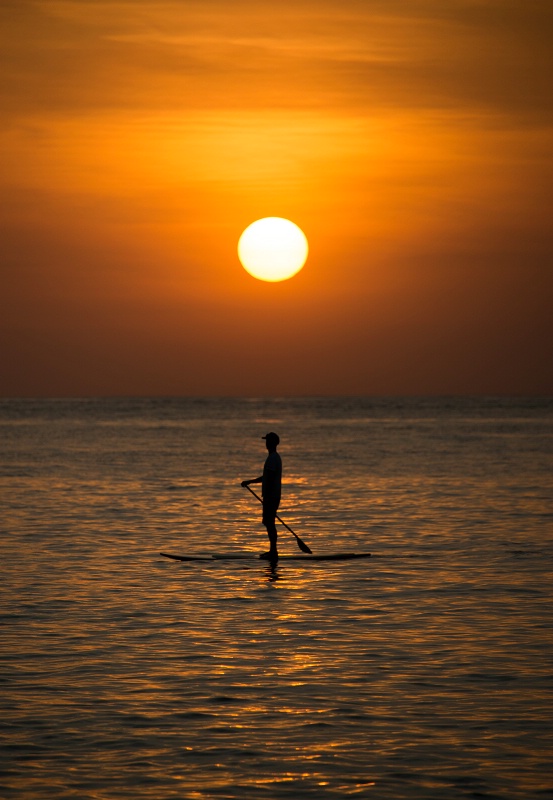 boardpaddling