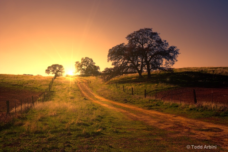 Early Morning Sunrise