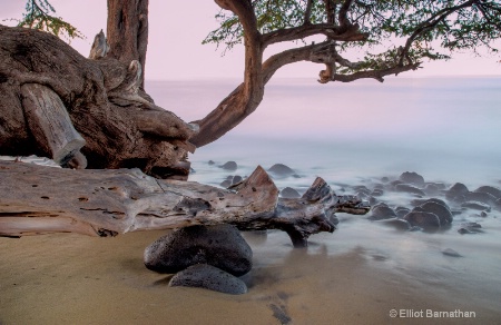 Maui Seascape