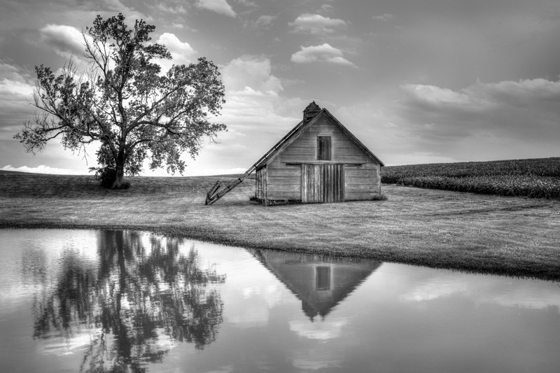 Grain Barn - Lone Tree