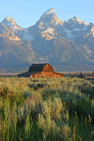 Early Morning at Mormon Row