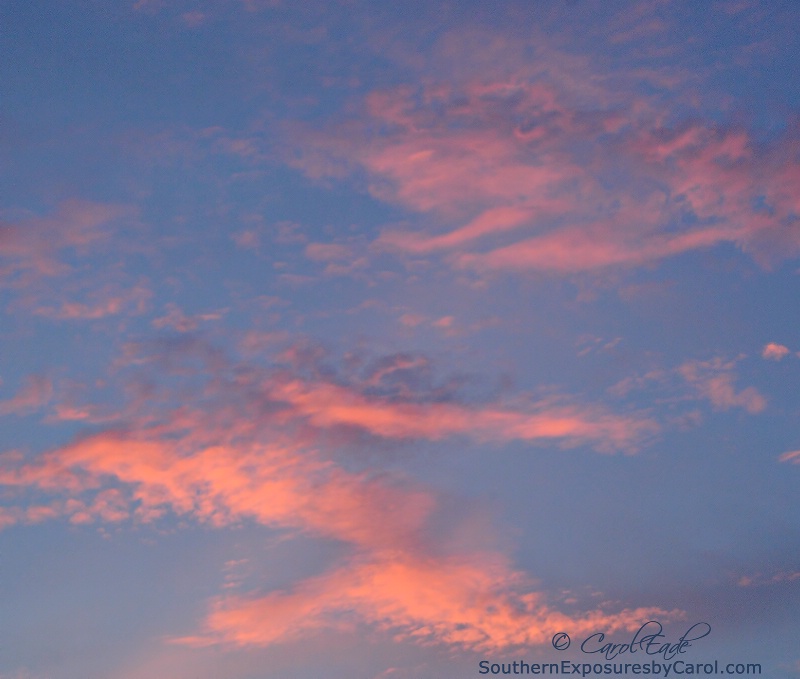 Clouds at Sunset - ID: 14620363 © Carol Eade