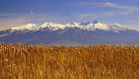 Purple Mountain Majesties