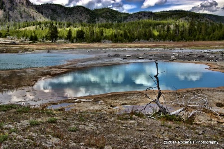 Upper Geyser Basin