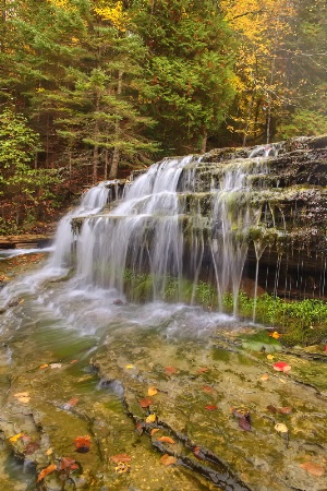 Michigan Fall