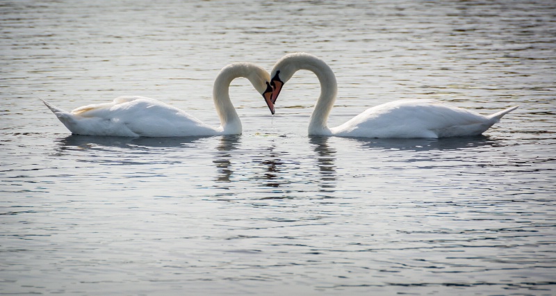 Close friends, Hyde Park London