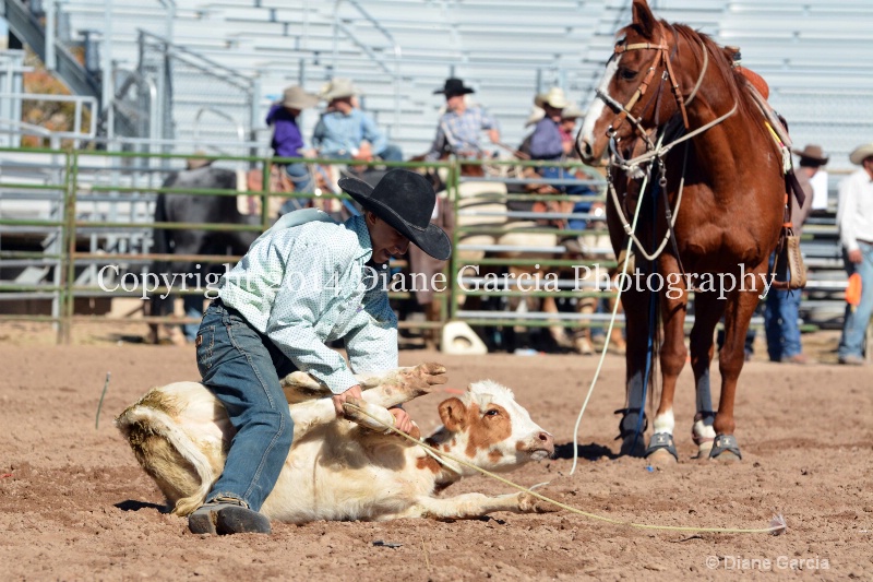 garrett potter jr high nephi 2014 11 - ID: 14713386 © Diane Garcia