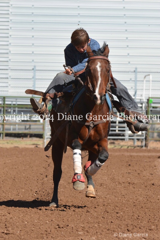 jake stephens 5th and under nephi 2014 4 - ID: 14720544 © Diane Garcia