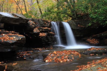 Fallen Leaves at Jonathan Falls