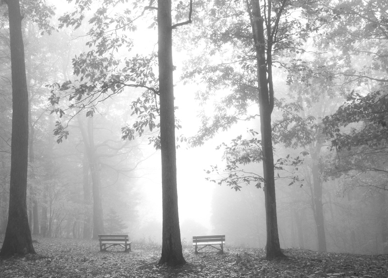 misty lookout