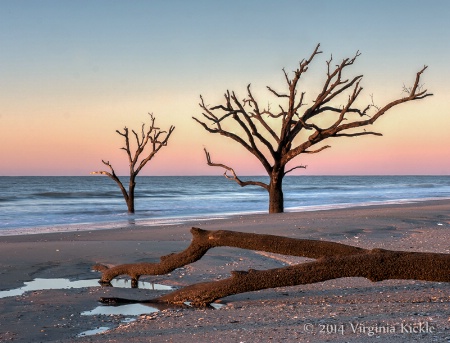 Boneyard Beach