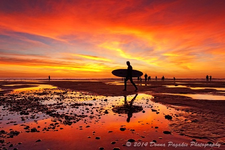 Beach Life at Twilight 