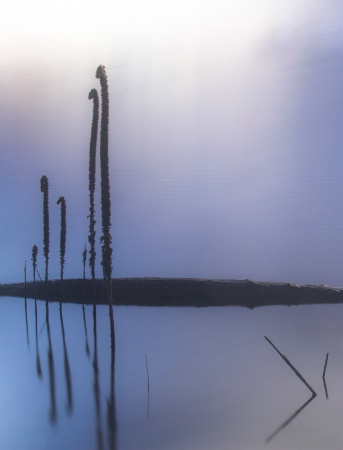  Statues of the Lake