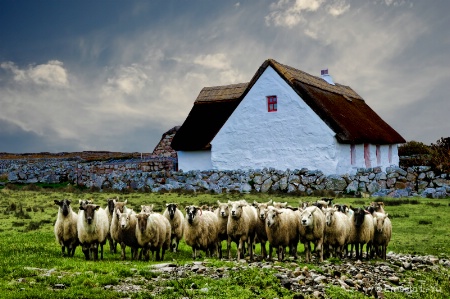 Ireland Cottage