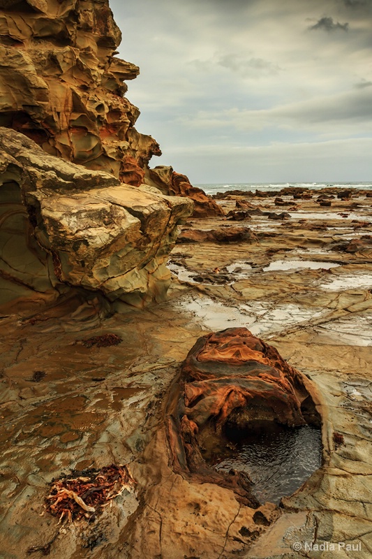 Rock Pools