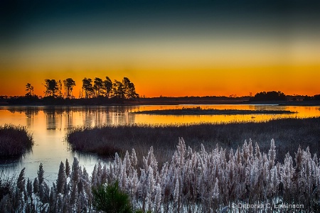 Chincoteague Dawn