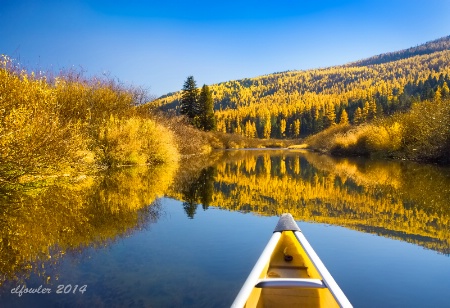Fall Canoe Paddle