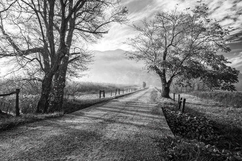 Foggy Morn on Sparks Lane