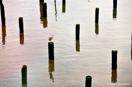 Pilings 