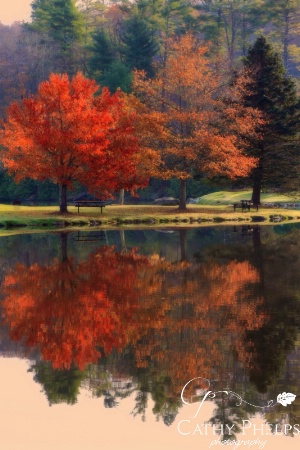 fall refections 2