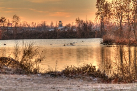 Canada Geese on Arkansas River