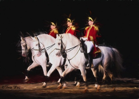 Lipizzaners