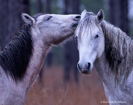 Two Friendly