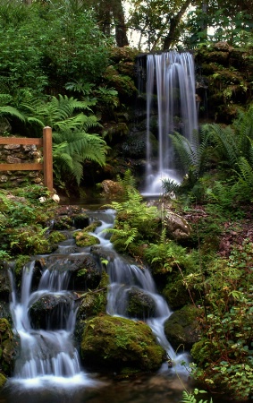 Rainbow Springs Waterfall