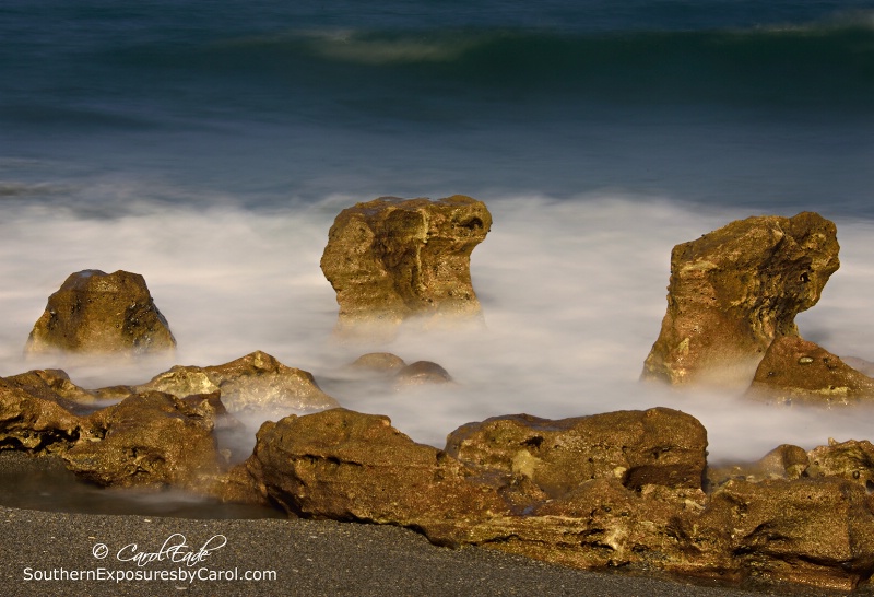 Coral Cove Beach No. 2 - ID: 14854498 © Carol Eade