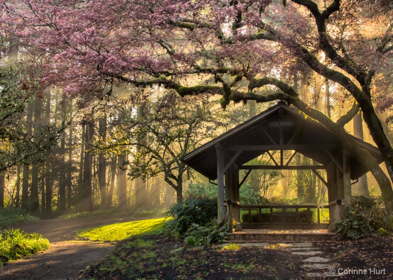 Tea House