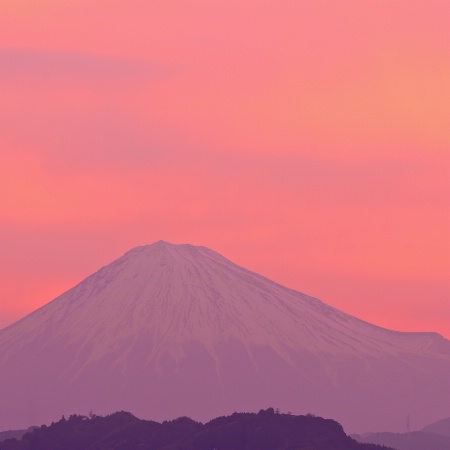 Fuji Spring Sunrise