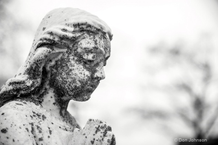 Another B&W Angel in Stone 3-0 f lr 4-8-15 j029