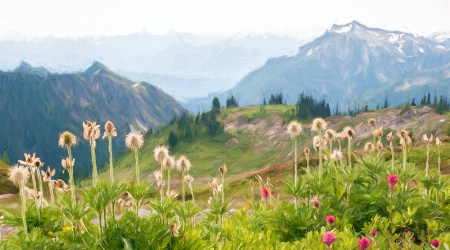 Painted Wildflowers