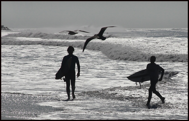 Surf's Up