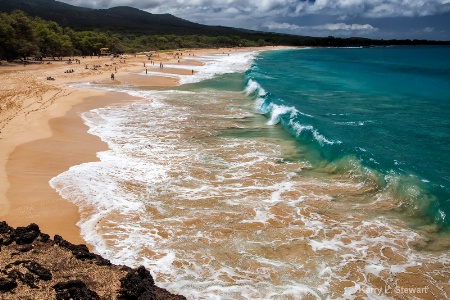 Big Beach Swell