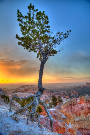 Bryce Sunrise