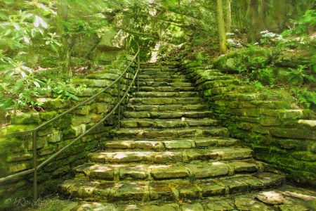 Mossy Staircase