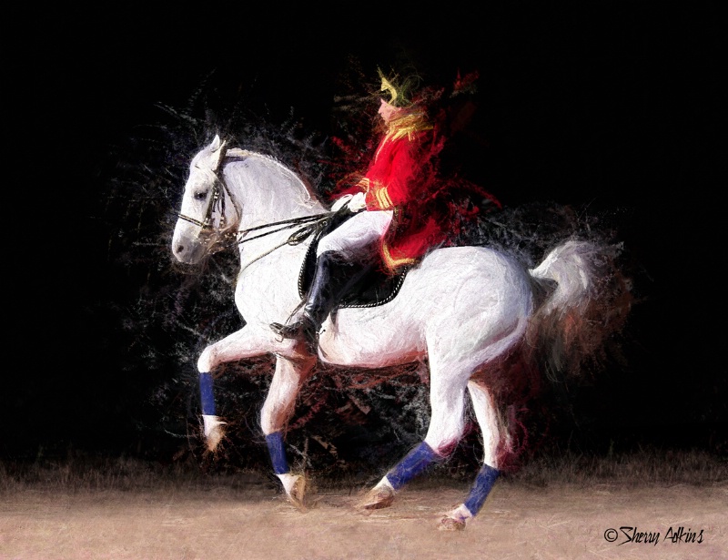 Lipizzaner