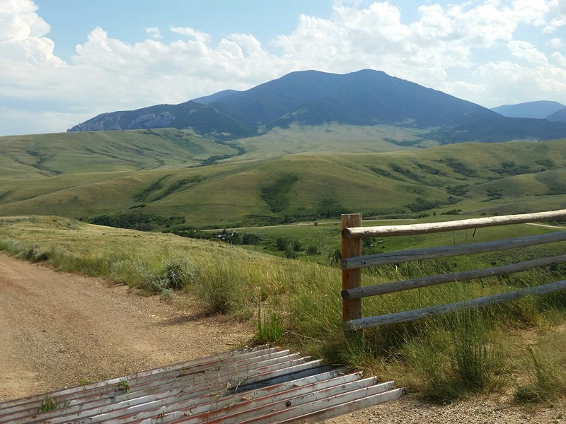 Cattle Guard, Carbon County, MT