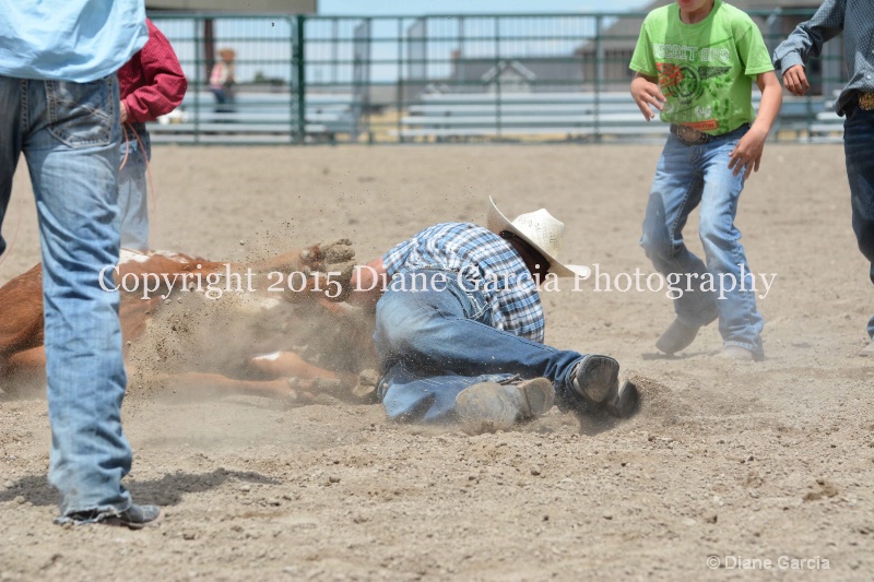 ujra parent rodeo 2015  61  - ID: 14942850 © Diane Garcia