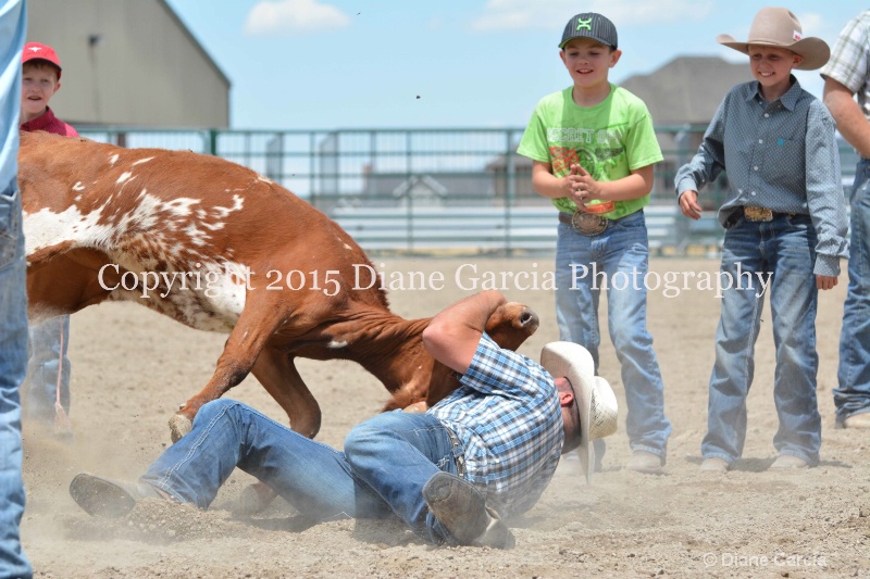ujra parent rodeo 2015  59  - ID: 14942852 © Diane Garcia