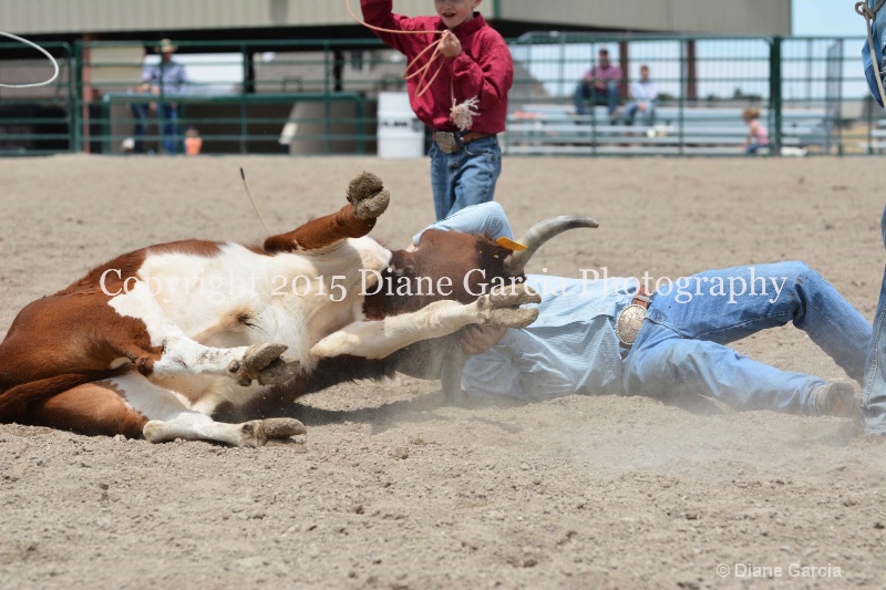 ujra parent rodeo 2015  53  - ID: 14942859 © Diane Garcia