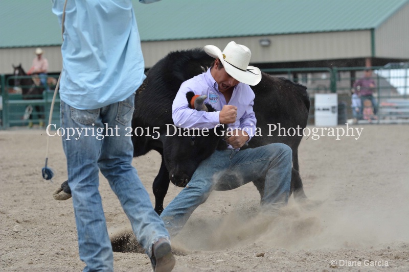 ujra parent rodeo 2015  47  - ID: 14942874 © Diane Garcia