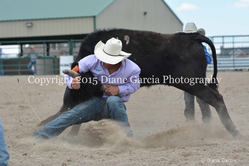 ujra parent rodeo 2015  45  - ID: 14942877 © Diane Garcia