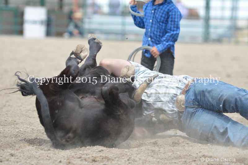 ujra parent rodeo 2015  41  - ID: 14942882 © Diane Garcia