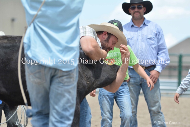 ujra parent rodeo 2015  40  - ID: 14942883 © Diane Garcia
